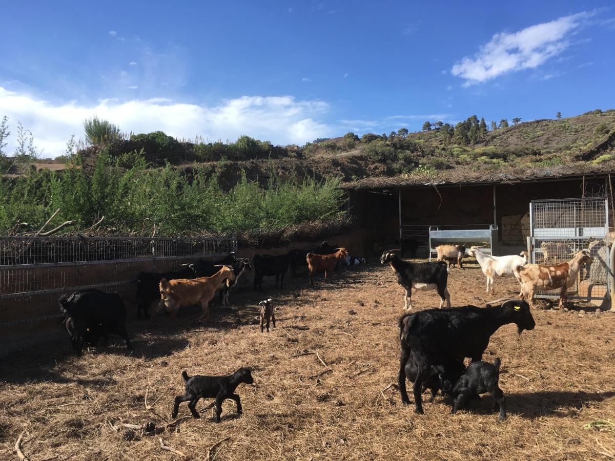 Casa Rural Los Santillos エル・ピナール エクステリア 写真